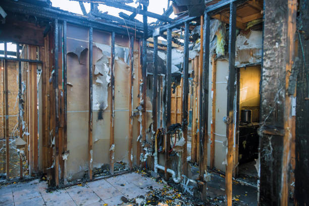 Professional Fire Damage Cleanup technician working in Morristown, MN